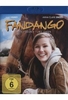 Fandango - Ein Freund fürs Leben