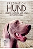 Faszination Hund - Unser Partner mit dem sechsten Sinn