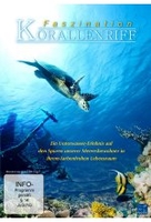 Faszination Korallenriff
