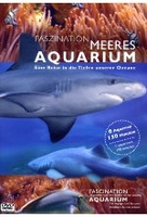 Faszination Meeresaquarium
