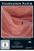 Faszination Natur