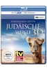 Faszination Wüste - Judäische Wüste