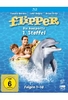 Flipper - Die komplette 1. Staffel (Fernsehjuwelen) [3 BRs]