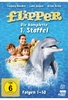 Flipper - Die komplette 1. Staffel (Fernsehjuwelen) [4 DVDs]