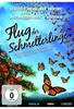 Flug der Schmetterlinge