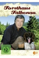 Forsthaus Falkenau - Staffel 10 [3 DVDs]