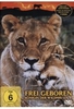 Frei geboren - Königin der Wildnis