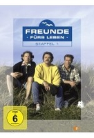 Freunde fürs Leben - Staffel 1 [4 DVDs]
