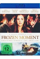 Frozen Moment