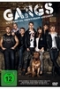 Gangs - Wo stehst Du,  wenns drauf ankommt?
