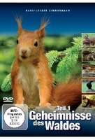 Geheimnisse des Waldes Teil 1