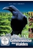 Geheimnisse des Waldes Teil 3