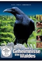 Geheimnisse des Waldes Teil 3
