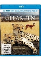 Geparden - Wildlife Edition
