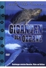 Giganten der Ozeane