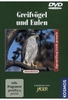 Greifvögel und Eulen