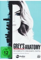 Greys Anatomy - Staffel 13 [6 DVDs]