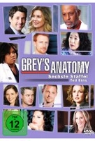 Greys Anatomy - Staffel 6.1 [3 DVDs]