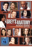 Greys Anatomy - Staffel 6.2 [3 DVDs]