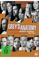 Greys Anatomy - Staffel 7.1 [3 DVDs]