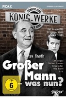 Großer Mann - was nun? / Die komplette 8-teilige Kultserie mit Gustav Knuth (Pidax Serien-Klassiker) [3 DVDs]