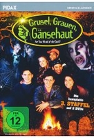 Grusel,  Grauen,  Gänsehaut - Staffel 3 (Pidax Serien-Klassiker) [2 DVDs]