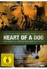 Heart of a Dog