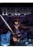 Holy Knight
