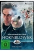 Hornblower Vol.6 - Vergeltung