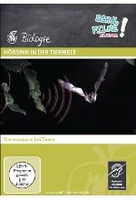 Hörsinn in der Tierwelt