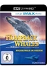 Humpback Whales (4K Ultra HD)