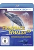 Humpback Whales (inkl. 2D-Version)