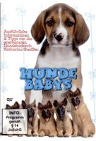 Hundebabys