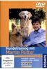 Hundetraining mit Martin Rütter