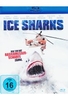 Ice Sharks