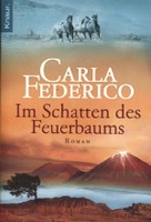Im Schatten des Feuerbaums