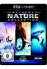 IMAX: 4K Extreme Nature Collection (OmU) (4K Ultra HD)