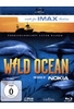 IMAX: Wild Ocean - Überlebenskampf unter Wasser