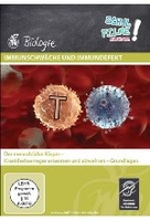 Immunschwäche und Immundefekt