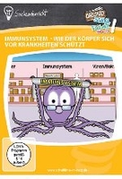 Immunsystem - wie der Körper sich vor Krankheiten schützt