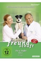 In aller Freundschaft - Staffel 15.2 [5 DVDs]