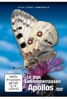 In den Sonnenterrassen Apollos - Bilder aus dem Leben eines faszinierenden Schmetterlings im Tal der Mosel