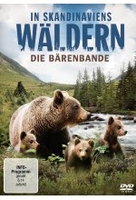In Skandinaviens Wäldern - Die Bärenbande