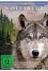 Jack London - Wolfsblut greift ein