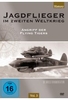 Jagdflieger im Zweiten Weltkrieg Vol. 3 - Angriff der Flying Tigers