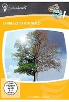 Jahreszeiten im Wald