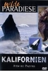 Kalifornien - Atem des Pazifik