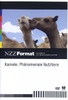 Kamele - Phänomenale Nutztiere - NZZ Format