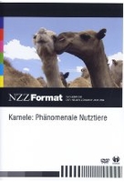 Kamele - Phänomenale Nutztiere - NZZ Format