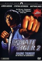 Karate Tiger 2
